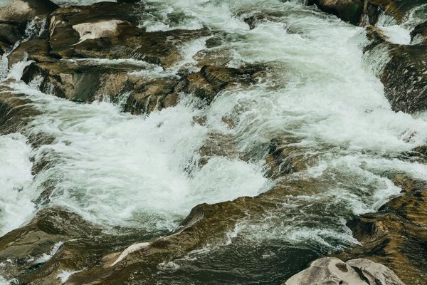 Excursions Nouvelles